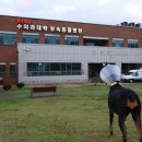 경북대학교 이미지