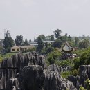 석림3로 Daum카페