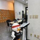 [ 라이프타임 휘트니스 소개글 ]