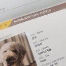 제주골드 민박 | 제주도 애견동반 여행 :: 11월 제주도 가족여행 대형견 동반 2박3일 여행코스 및 경비