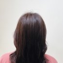 강쌤헤어 네이버블로그