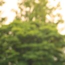 고당한의원 이미지