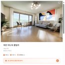 패밀리독 | 태안 위드독 풀빌라 애견 동반 독채 펜션 페텔 후기