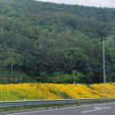 진주혜광학교 이미지