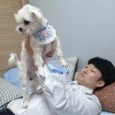 후니피자 이미지