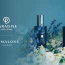 파라다이스호텔 이미지