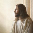 대양햇빛발전 | 126. 생명의 탄생: 지구에 생명이 자리잡다, 2025년 11월 2일, Birth of Life: Life Establishes Itself...