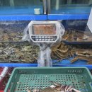 가을상회 | 노량진 수산시장 줄포상회 가을 꽃게 내돈내산 후기 꿀팁