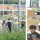 화순오성초등학교 이미지
