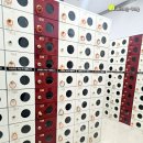 크란츠 스파랜드 이미지