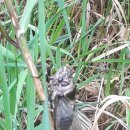 물과물고기 이미지