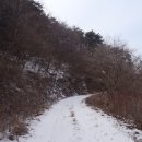수리치