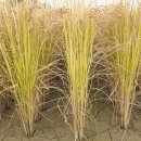 김창배 농장 이미지