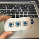 (주)게임에이지 | 8월 | 은평한옥마을🌳| 올해 첫 평양냉면과 인생 첫 파스타🍝| 길디드에이지⚜️