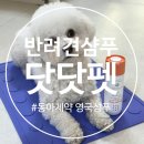 브라이트 독 | 반려견 샴푸 추천 동아제약 닷닷펫 영국샴푸 솔직후기