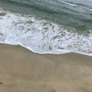 두리원민박 | [블챌#8] 집트로 가기 전 해야할 일2🇪🇬