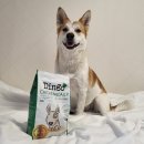 해피모멘츠 | 사료 - 딩고(Dingo) 나투라 강아지 가수분해 사료 (치킨&데일리)