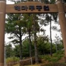 실내체육관 앞 횡단보도 이미지