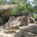 자연동산 이미지