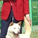 무지개훈련소 이미지