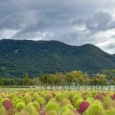 황산공원 족구장 이미지