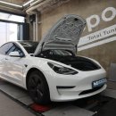 엠 게러지(M garage) | 테슬라 승차감 지옥 탈출! 사장이 직접 타보고 열받아서 만든 'MS5 서스펜션' 장착기 [엠게러지] M_garage