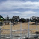 강서부산농장 이미지