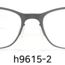 H9615 네이버블로그