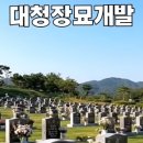 대청장묘개발