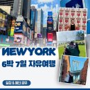 유니온결혼정보 | 뉴욕 자유여행 6박 7일 전체일정 및 예산 다운로드(feat. 미국 esim 추천)