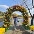 국화전시회 버스킹 문화공연 | 제22회 백제고도 부여국화축제 방문기 후기