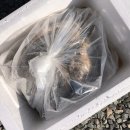 (주)한국타이어제철판매 | 겨울 제철해산물 캠핑음식 거제도 굴 석화 삼삼해물 택배