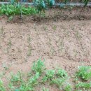 선우정경로당 이미지