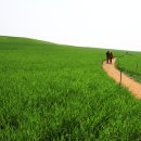 학 농장 이미지