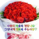 화요일 Daum카페