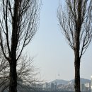 잠실공원 화장실 | [서울 가볼만한곳] 한강공원 피크닉 장소 추천 / 잠원한강공원, 잠실한강공원 후기