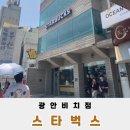 스타벅스 광안비치점 | 부산 광안리 스타벅스 오션뷰 감성 카페