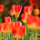 세보한의원 이미지