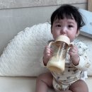 고운나라어린이집 | 9개월아기 감기 변비없는 유산균 분유 퓨어락 2단계