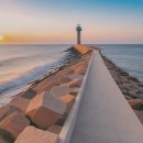 라온 행정사사무소 이미지