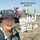 청주산양산삼 | 제주도 한라산 성판악 코스 당일치기로 가능할까?