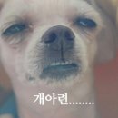 없음 이미지