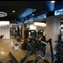 레몬트리짐 이미지