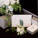 도약 | 청년도약계좌 중도해지 후기, 이자 정부기여금 포기하고 해지한 이유