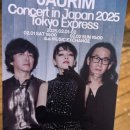 Hey, SEOUL Stay | 자우림 도쿄 콘서트 Tokyo Express 2025.02.01. (자우림 도쿄 익스프레스) 관람 후기