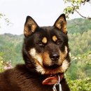 근성목장 이미지