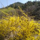 오로라가든 펜션 이미지