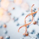 리본레시피 이미지