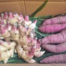 혜성농장 이미지