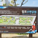꾸숑크로플